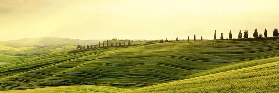 Business Growth Get greener grass and grow your business to its full potential